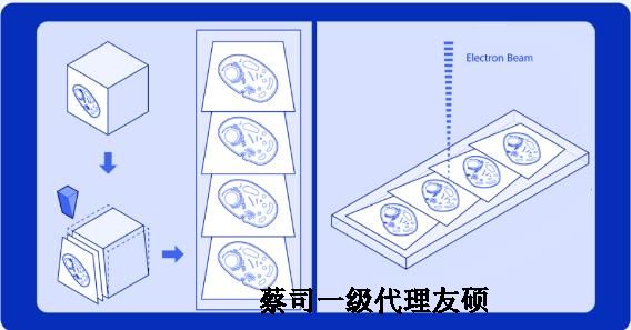 徐州蔡司徐州扫描电镜