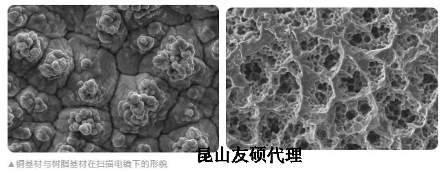 徐州蔡司徐州扫描电镜